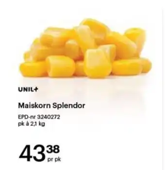 Storcash Maiskorn Splendor tilbud