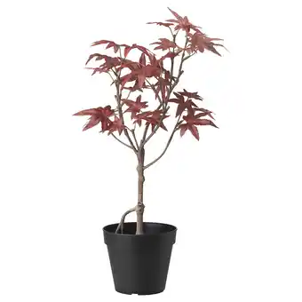IKEA Fejka kunstig potteplante, inne/ute lønn, 12 cm tilbud
