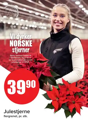 Spar Julestjerne tilbud