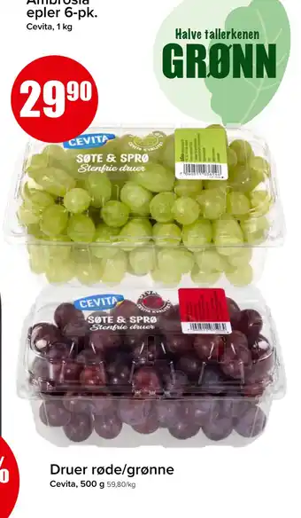 Spar Druer røde/grønne tilbud