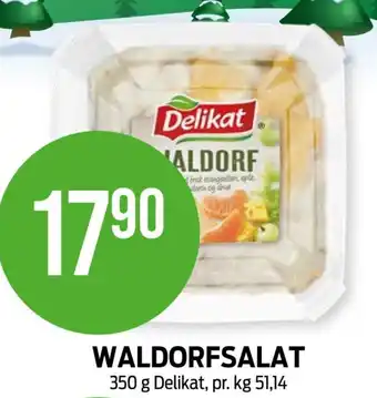 Kiwi WALDORFSALAT 350 g Delikat, pr. kg 51,14 tilbud