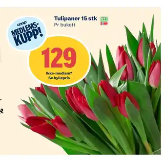 Coop Extra Tulipaner 15 stk tilbud