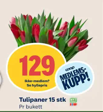 Coop Mega Tulipaner 15 stk tilbud