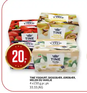 Bunnpris Tine yoghurt, skogsbær, jordbær, melon og vanilje tilbud