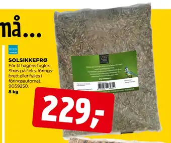 jem & fix Solsikkefrø tilbud