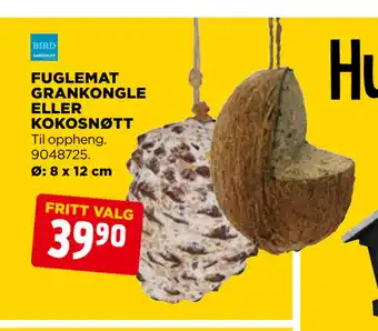 jem & fix Fuglemat grankongle eller kokosnøtt tilbud
