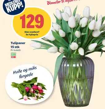 Coop Extra Tulipaner 15 stk tilbud