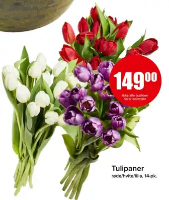Spar Tulipaner tilbud