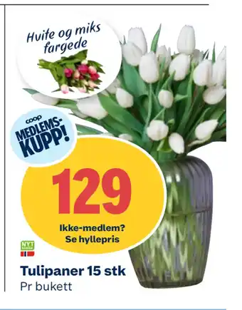 Coop Obs Tulipaner 15 stk tilbud