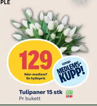 Coop Mega Tulipaner 15 stk tilbud
