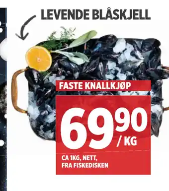 Meny Levende blåskjell tilbud