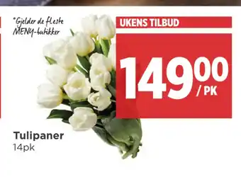 Meny Tulipaner tilbud