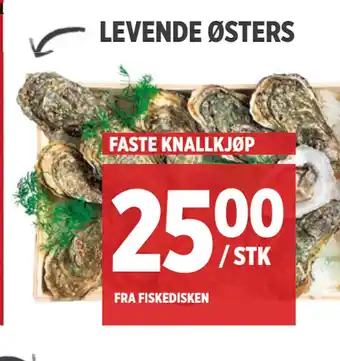 Meny Levende østers tilbud