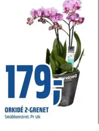 Coop Obs Ukjent plante tilbud