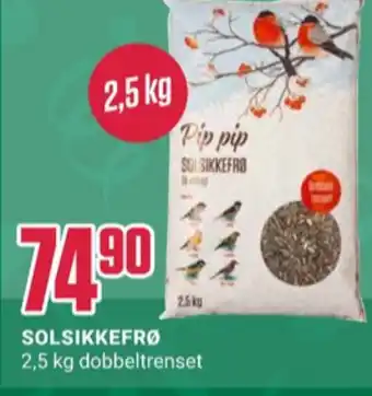 Europris Ukjent solsikkefrø tilbud