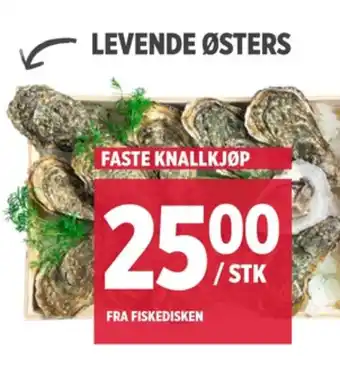 Meny Ukjent østers tilbud
