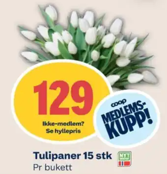 Coop Mega Ukjent bukett tilbud