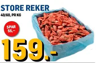 STORE REKER