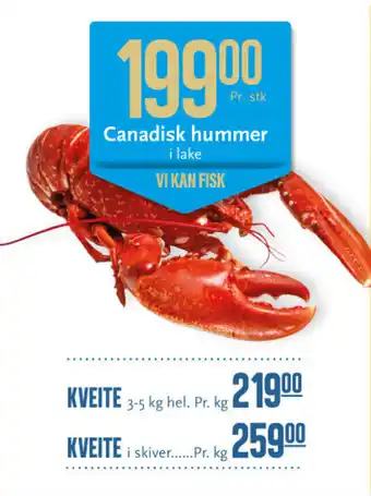 Canadisk hummer