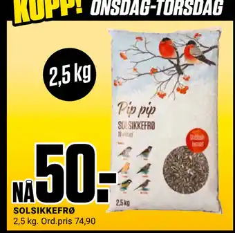 Europris Solsikkefrø tilbud