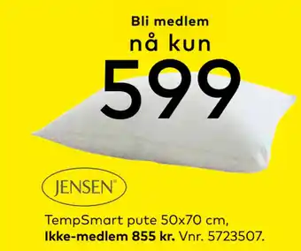 Skeidar Tempsmart pute 50x70 cm tilbud