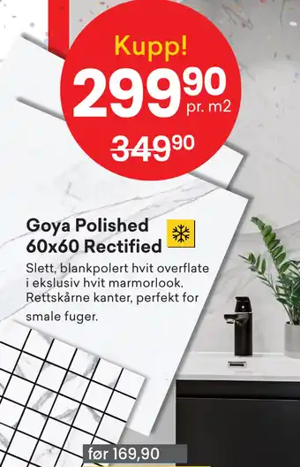 Right Price Tiles Goya polished 60x60 rectified tilbud