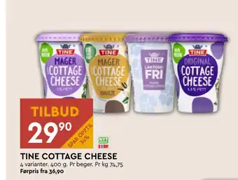 Coop Mega Tine cottage cheese tilbud