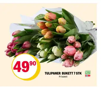 Coop Extra Tulipaner bukett 7 stk tilbud