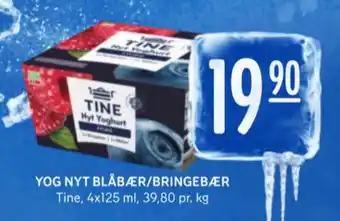 Rema 1000 Tine yoghurt tilbud