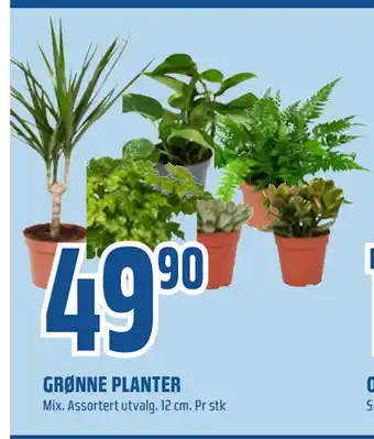 Coop Obs Grønne planter tilbud