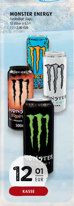 Scandinavian Park Monster energy tilbud