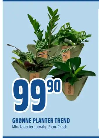 Coop Obs Grønne planter trend tilbud