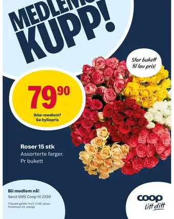 Matkroken Roser 15 stk tilbud