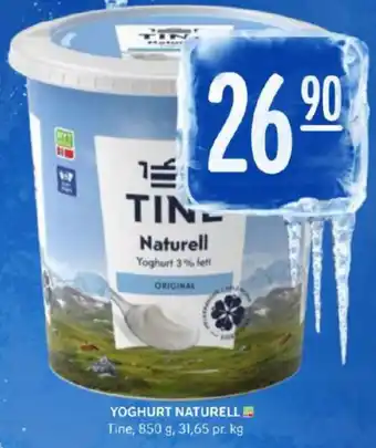 Rema 1000 Tine yoghurt tilbud