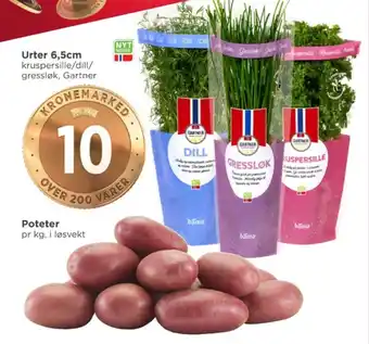 Meny Gartner krydderurt tilbud