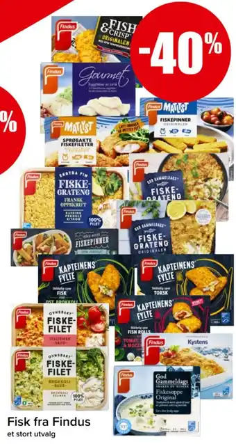 Spar Fisk fra Findus tilbud