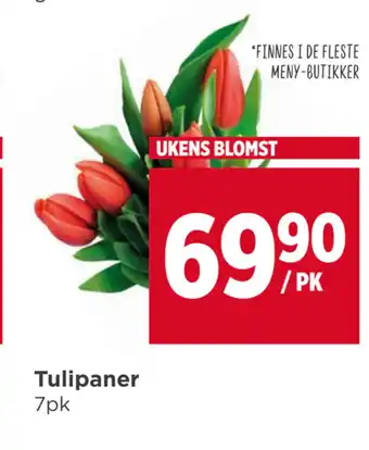 Meny Tulipaner tilbud