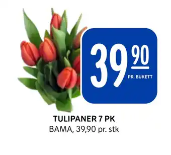Rema 1000 Tulipaner 7 pk tilbud