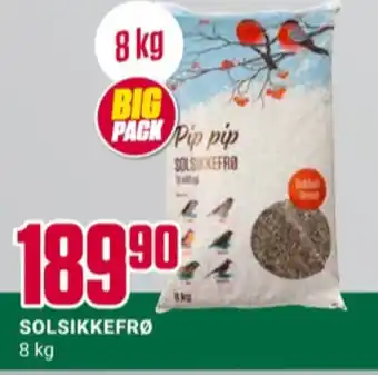 Europris Ukjent solsikkefrø tilbud