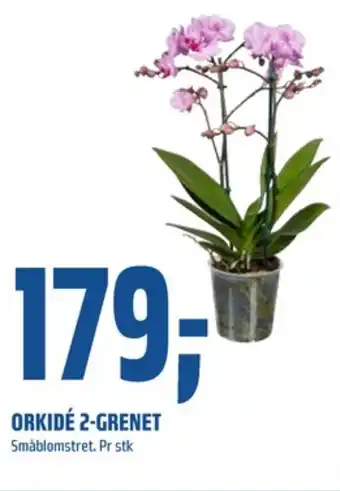 Coop Obs Ukjent plante tilbud