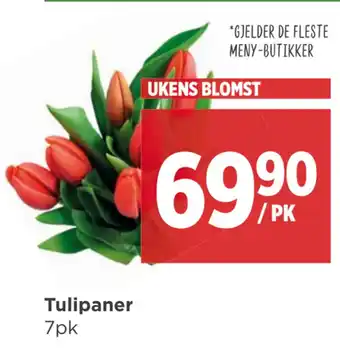 Meny Tulipaner tilbud