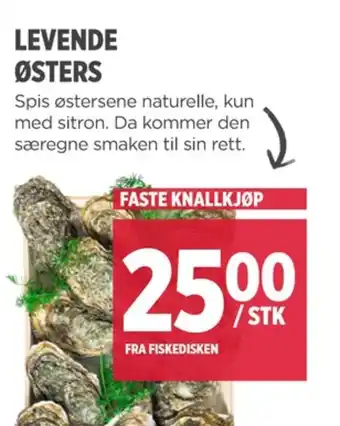 Meny Ukjent østers tilbud