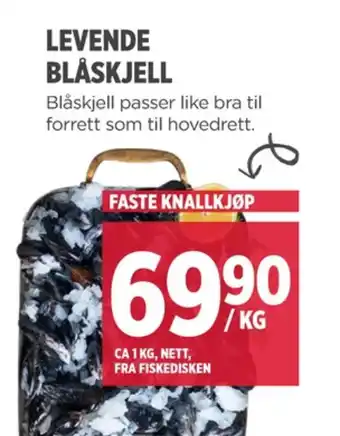 Meny Ukjent blåskjell tilbud