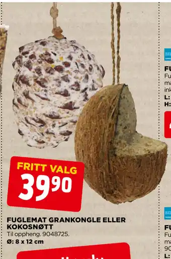 jem & fix Fuglemat grankongle eller kokosnøtt tilbud