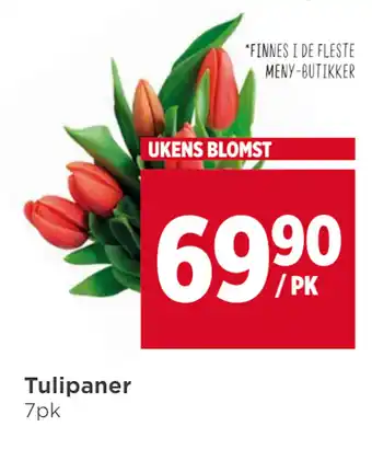 Meny Tulipaner tilbud