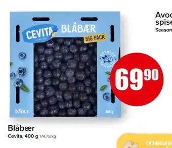Spar Blåbær tilbud