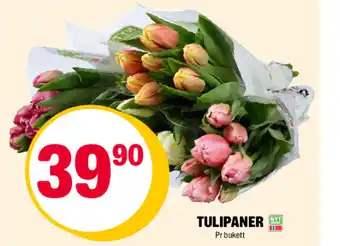 Coop Extra TULIPANER tilbud