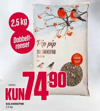Europris Ukjent solsikkefrø tilbud