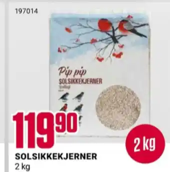 Europris Ukjent solsikkefrø tilbud