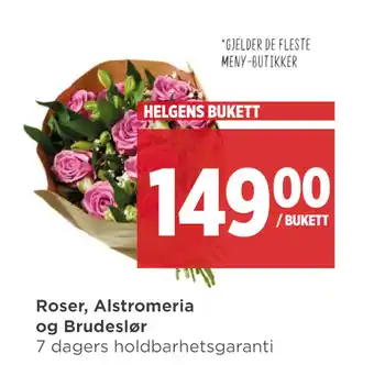 Meny Roser, Alstromeria og Brudeslør tilbud